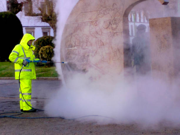 Best Roof Power Washing Services  in Rosemont, IL